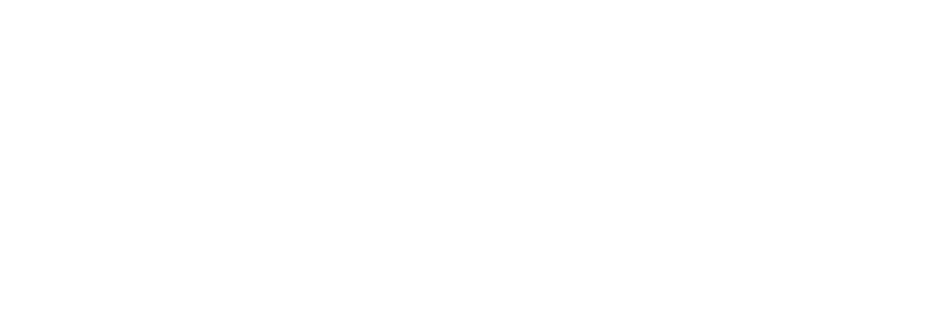 Leão